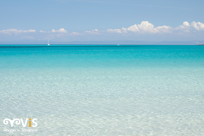 La Spiaggia della Pelosa e il suo mare