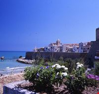Borgo Antico di Termoli Borgo Antico di Termoli