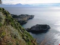 panorama dal parco virgiliano napoli