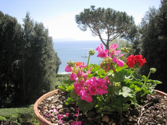 particolare di Villa Floridiana