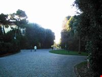 Bosco di Capodimonte