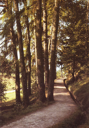 Il Viale dei sogni
