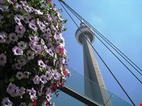 cn tower