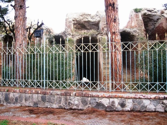 Particolare dell'Anfiteatro