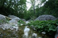 Il Fiume Albegna