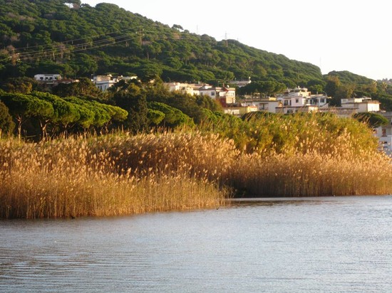 Lago di Lucrino
