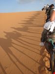 marrakech camel trekking
