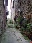 Vellano frazione di Pescia