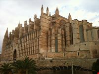 cattedrale palma di maiorca