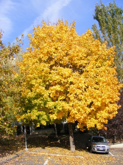 l'autunno è arrivato