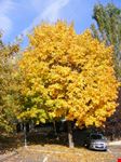 l'autunno è arrivato
