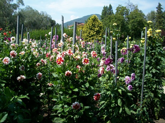 i giardini di villa taranto