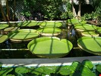 giardini di villa taranto