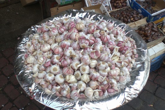 vedute di marrakech