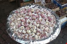 vedute di marrakech