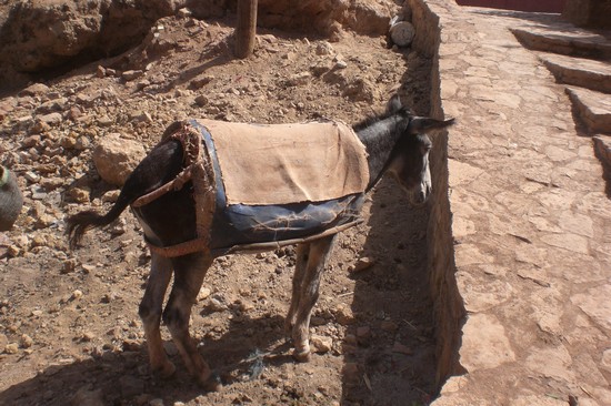 vedute di marrakech