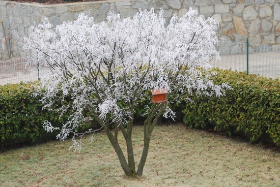 Piverone