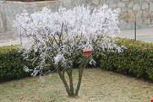 Piverone