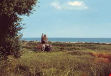 Torre Dieci Cavalli