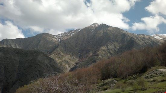  Amatrice  