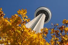 CN Tower
