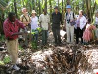 kampala ecotourism