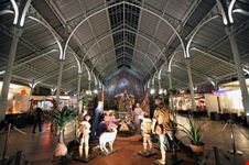 Mercado de Colón