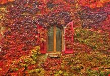 Autunno in Toscana - Borgo medievale di Certaldo Alto (FI)