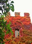 Autunno in Toscana - Borgo medievale di Certaldo Alto (FI)