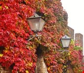 Autunno in Toscana - Borgo medievale di Certaldo Alto (FI)