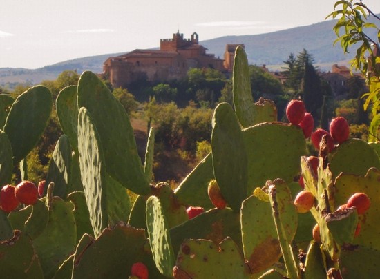 Certaldo Alto (FI) splendido borgo medievale in Toscana