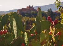 Certaldo Alto (FI) splendido borgo medievale in Toscana