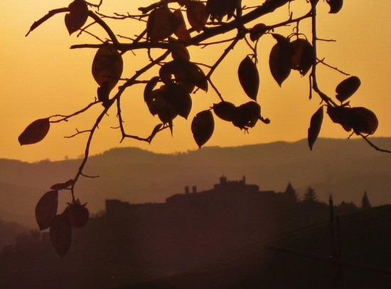 Certaldo Alto (FI) splendido borgo medievale in Toscana