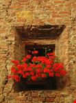 Certaldo Alto (FI) splendido borgo medievale in Toscana