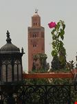 la Moschea