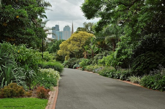Parco al centro di Melbourne