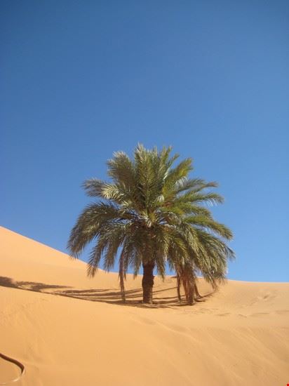  Marrakech  