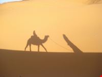 ombre nel deserto di Merzouga
