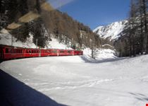 Trenino Rosso Bernina