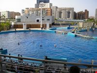 Oceanografic