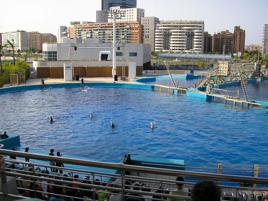  Valencia Nigel's Europe 2 - CC BY-SA 2.0 Nigel's Europe 2