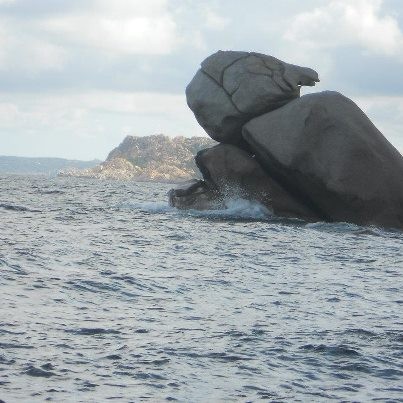 La Tartaruga