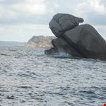 La Tartaruga
