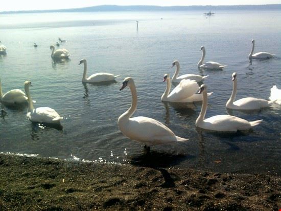  Trevignano Romano  