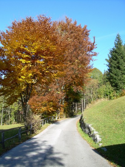 passeggiate autunnali