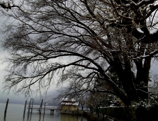 Lungo Lago