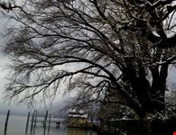 Lungo Lago