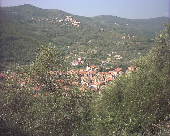 PANORAMA