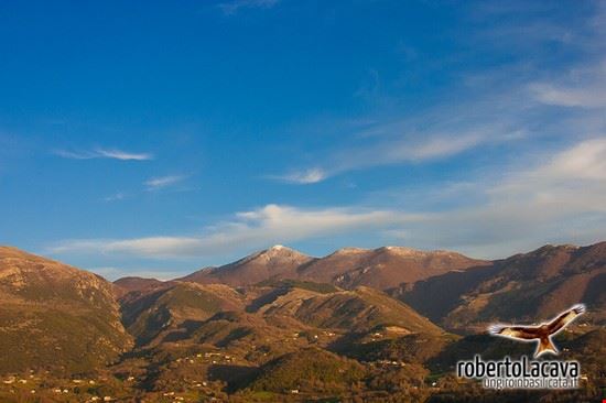 Rotonda