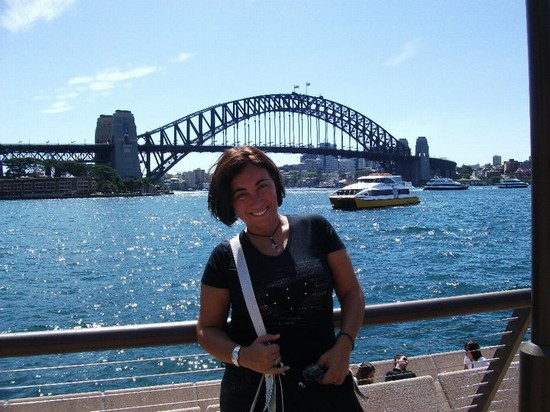 the bridge